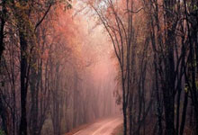 博万体育：[国际足球]德比前 “床单军团”赢得轻松.