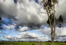 博万体育:英超聯賽歷屆冠軍球隊回顧.