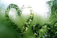 [流言板]媒体晒花絮：这个球迷把握机会，场边一把抱住了詹姆斯25亮97回复.